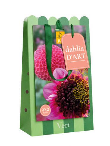 X 1 TAS DAHLIA D'ART 4 DAHLIA VERT