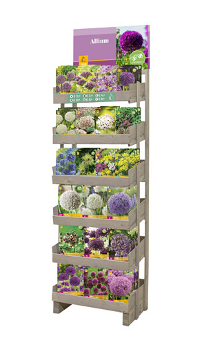 DISPLAY ALLIUM 21 X 5 (12 PREPACK, 9 XXL)