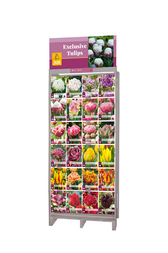 DISPLAY EXCLUSIEVE TULPEN (24 X 5)