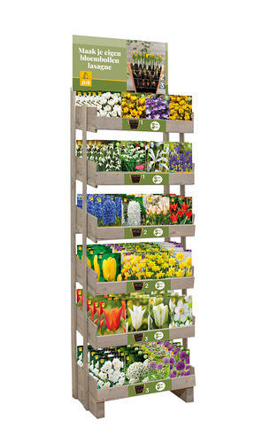 DISPLAY LASAGNE BEPLANTING (EN) (24 X 5)