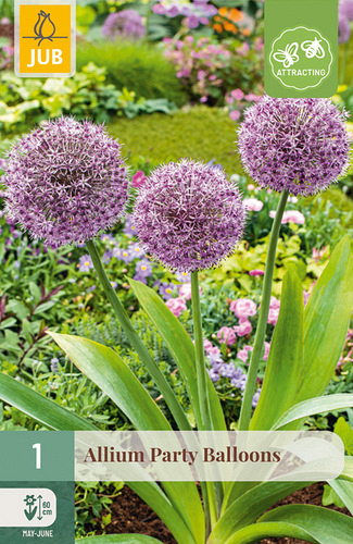 X   1 ALLIUM PARTY BALLOONS