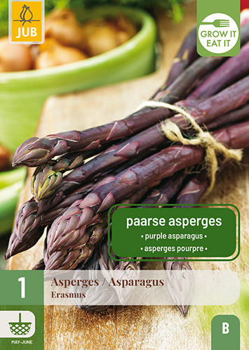 X 1 ASPARAGUS / ASPERGES ERASMUS