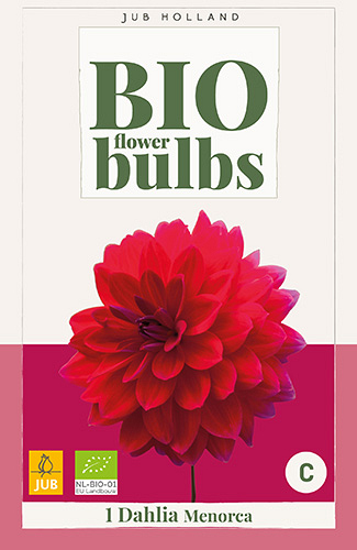 X 1 BIO DAHLIA MENORCA