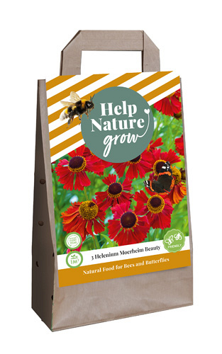 X 1 TAS 3 HELENIUM MOERHEIM BEAUTY - HELP NATURE GROW