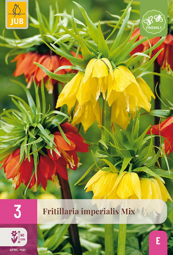 X   3 FRITILLARIA IMPERIALIS MIX