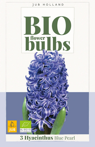 X   3 HYACINTHUS BLUE PEARL - BIO