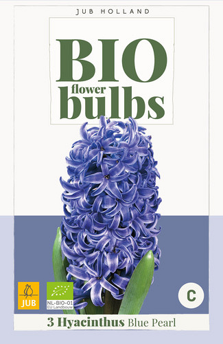 X   3 HYACINTHUS BLUE PEARL - BIO