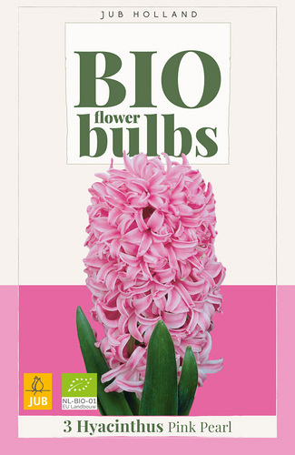 X   3 HYACINTHUS PINK PEARL - BIO