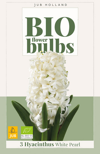 X   3 HYACINTHUS WHITE PEARL - BIO