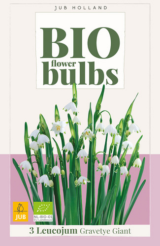 X   3 LEUCOJUM GRAVETYE GIANT - BIO
