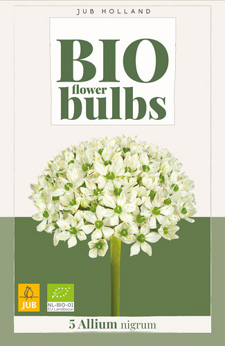 X   5 ALLIUM NIGRUM - BIO
