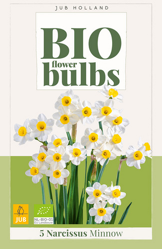 X   5 NARCISSUS MINNOW - BIO