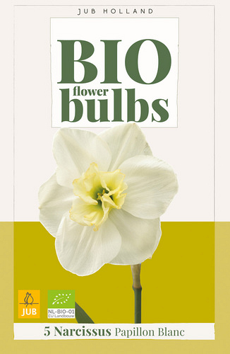 X   5 NARCISSUS PAPILLON BLANC - BIO