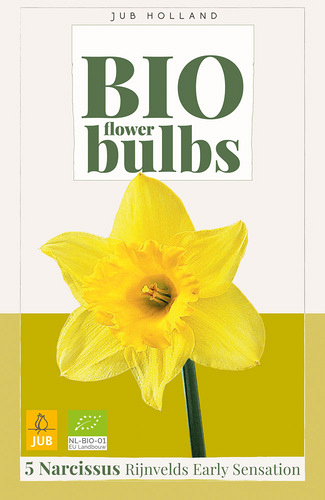 X   5 NARCISSUS RIJNVELDS EARLY SENSATION - BIO