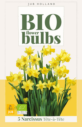 X   5 NARCISSUS TETE-A-TETE - BIO