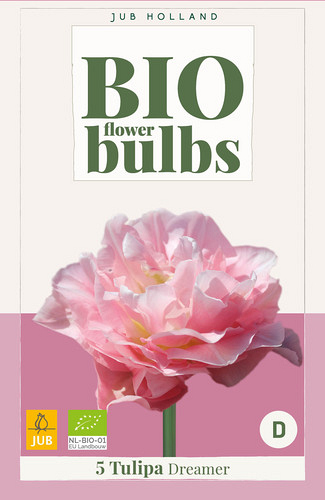 X   5 TULIPA DREAMER - BIO