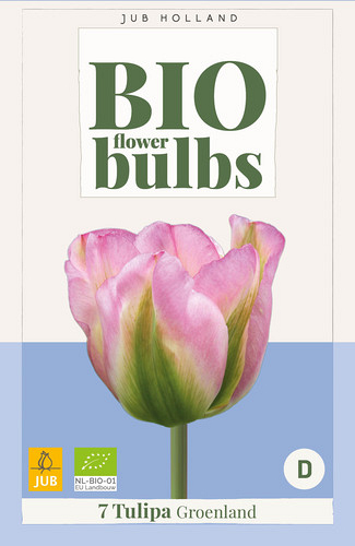 X   7 TULIPA GROENLAND - BIO
