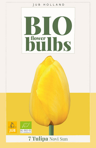 X   7 TULIPA NOVI SUN - BIO