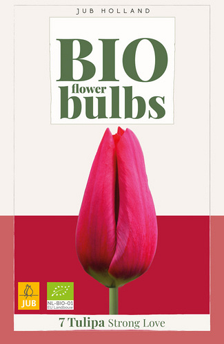 X   7 TULIPA STRONG LOVE - BIO