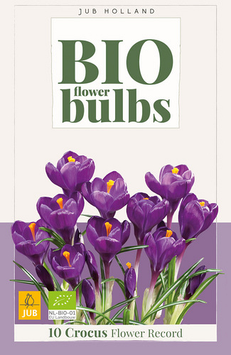 X 10 CROCUS FLOWER RECORD - BIO
