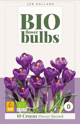 X 10 CROCUS FLOWER RECORD - BIO