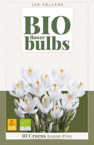 X 10 CROCUS JEANNE D'ARC - BIO
