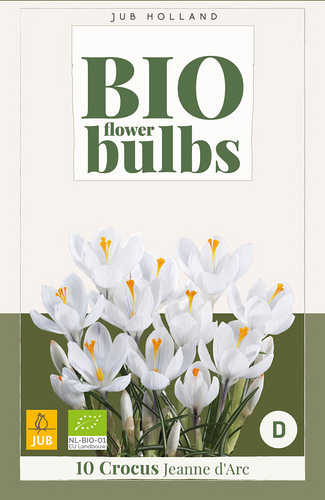 X 10 CROCUS JEANNE D'ARC - BIO