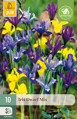 X 10 IRIS DWARF MIX