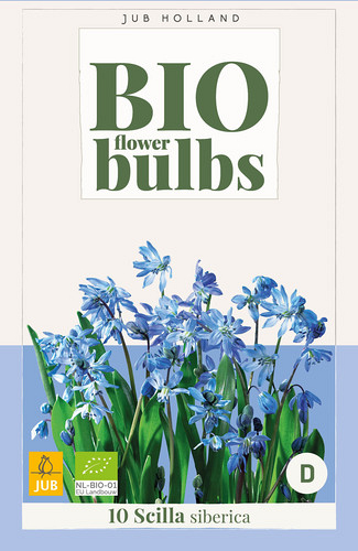 X 10 SCILLA SIBERICA - BIO