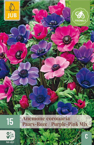 X 15 ANEMONE CORONARIA PAARS-ROZE MIX VJ