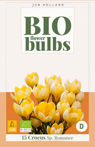 X 15 CROCUS SP. ROMANCE - BIO