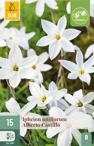X 15 IPHEION UN. ALBERTO CASTILLO