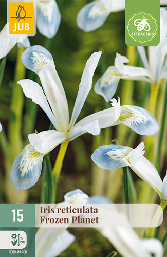 X 15 IRIS FROZEN PLANET