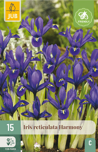 X 15 IRIS HARMONY