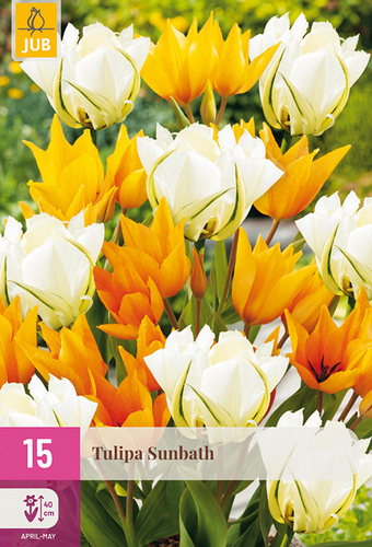 X 15 TULIPA SUNBATH