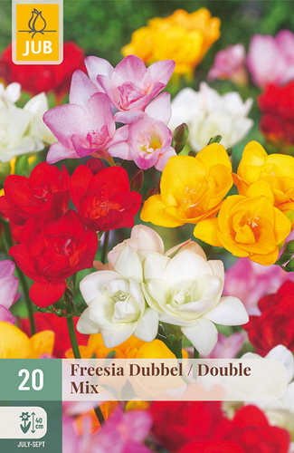 X 20 FREESIA DUBBEL MIX NJ