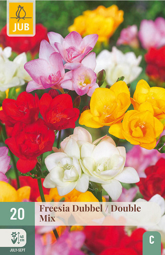 X 20 FREESIA DUBBEL MIX NJ
