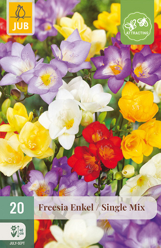 X 20 FREESIA ENKEL MIX NJ