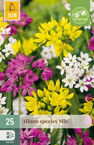 X 25 ALLIUM SPECIES MIX