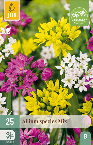 X 25 ALLIUM SPECIES MIX