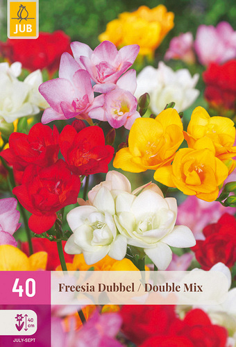 X 40 FREESIA DUBBEL MIX