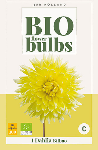 X 1 BIO DAHLIA BILBAO