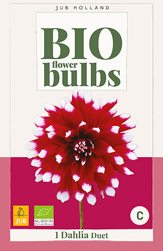 X 1 BIO DAHLIA DUET