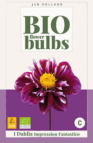 X 1 BIO DAHLIA IMPRESSION FANTASTICO