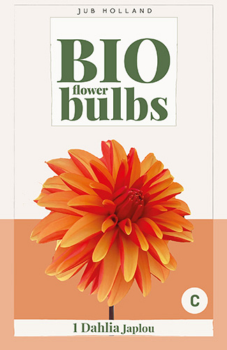X 1 BIO DAHLIA JAPLOU