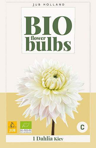 X 1 BIO DAHLIA KIEV