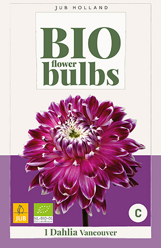X 1 BIO DAHLIA VANCOUVER