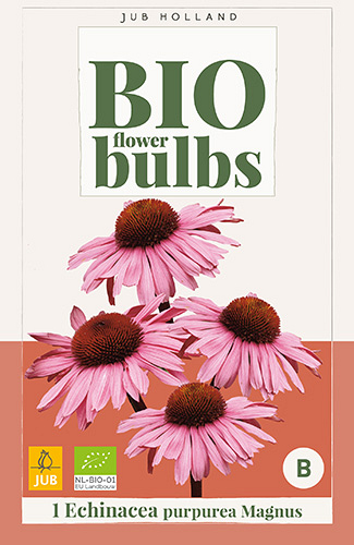 X 1 BIO ECHINACEA PURPUREA MAGNUS