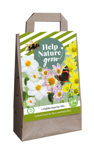 X 1 TAS 5 DAHLIA SUNRISE MIX - HELP NATURE GROW