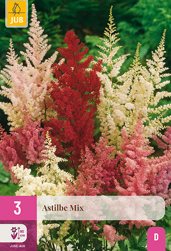 X 3 ASTILBE MIX